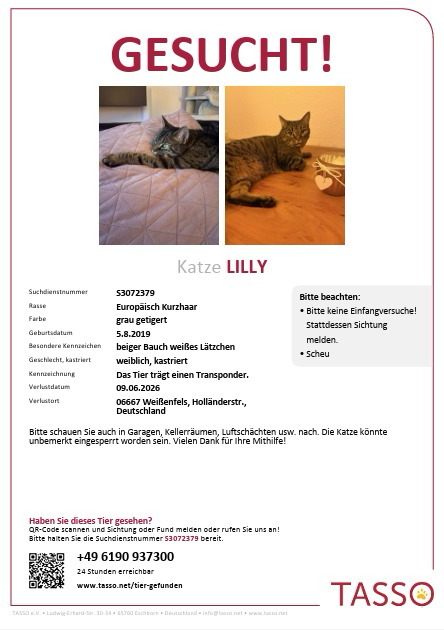 Lilly wird gesucht