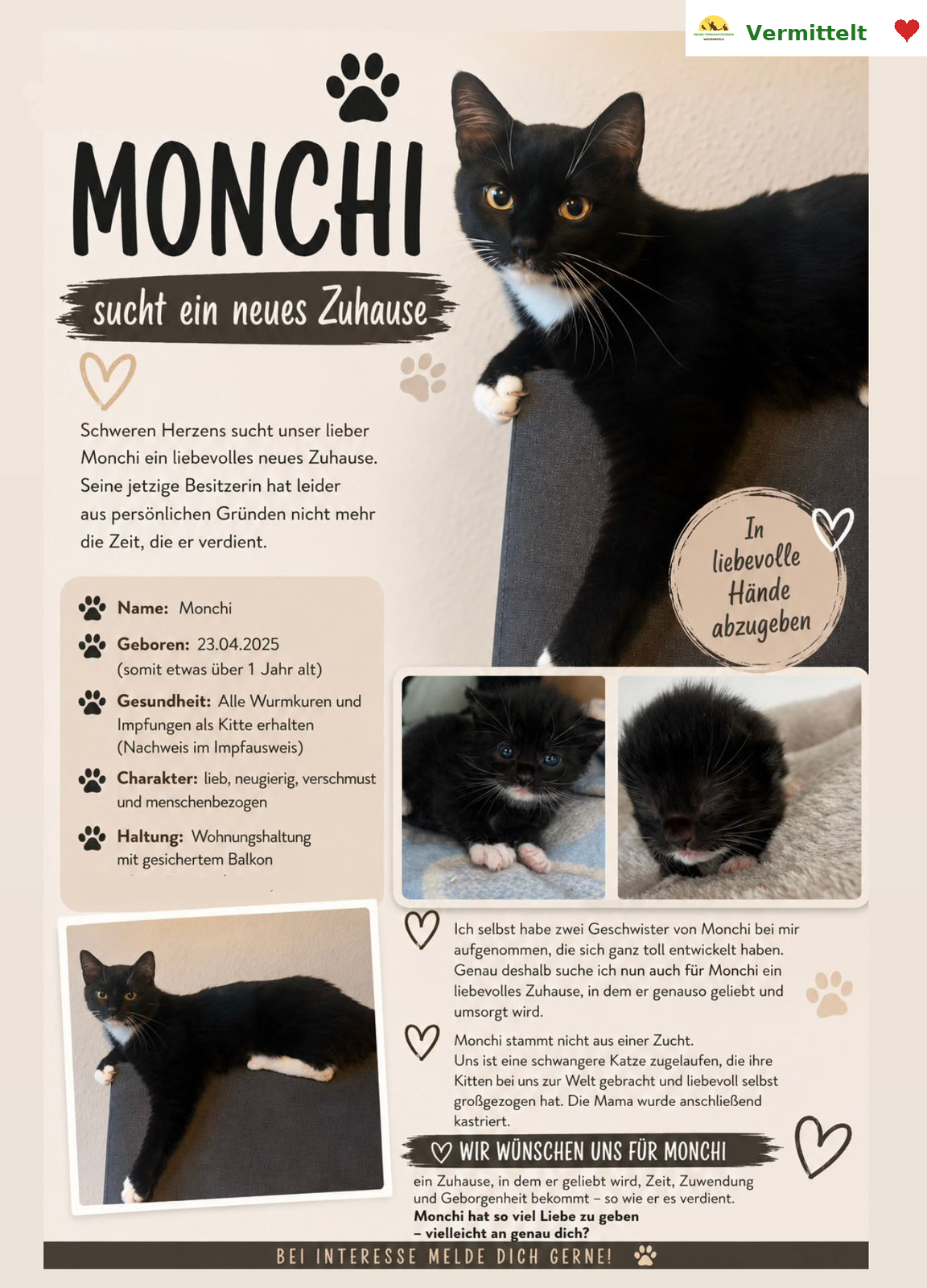 Monchi sucht ein neues Zuhause - Vermittelt! :)
