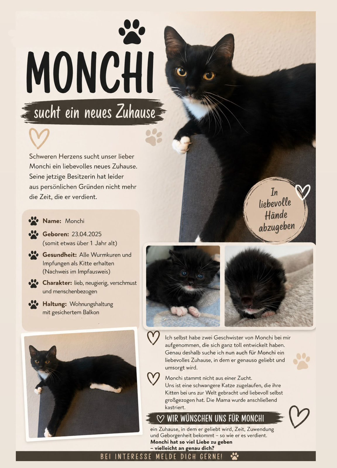 Monchi sucht ein neues Zuhause
