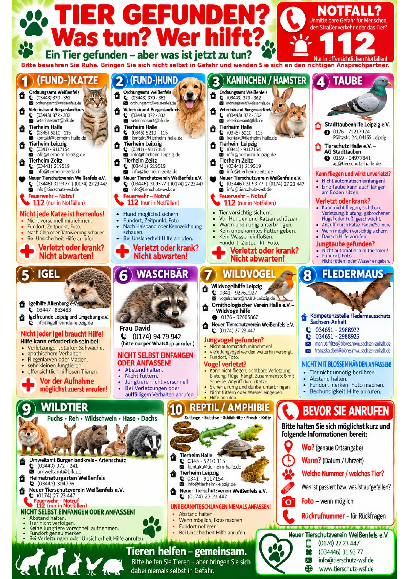Plakat „Tier gefunden? Was tun? Wer hilft?“: Ansprechpartner mit Telefonnummern für Fundkatzen, Fundhunde, Kaninchen und Hamster, Tauben, Igel, Waschbären, Wildvögel, Fledermäuse, Wildtiere sowie Reptilien und Amphibien. Im Notfall 112.