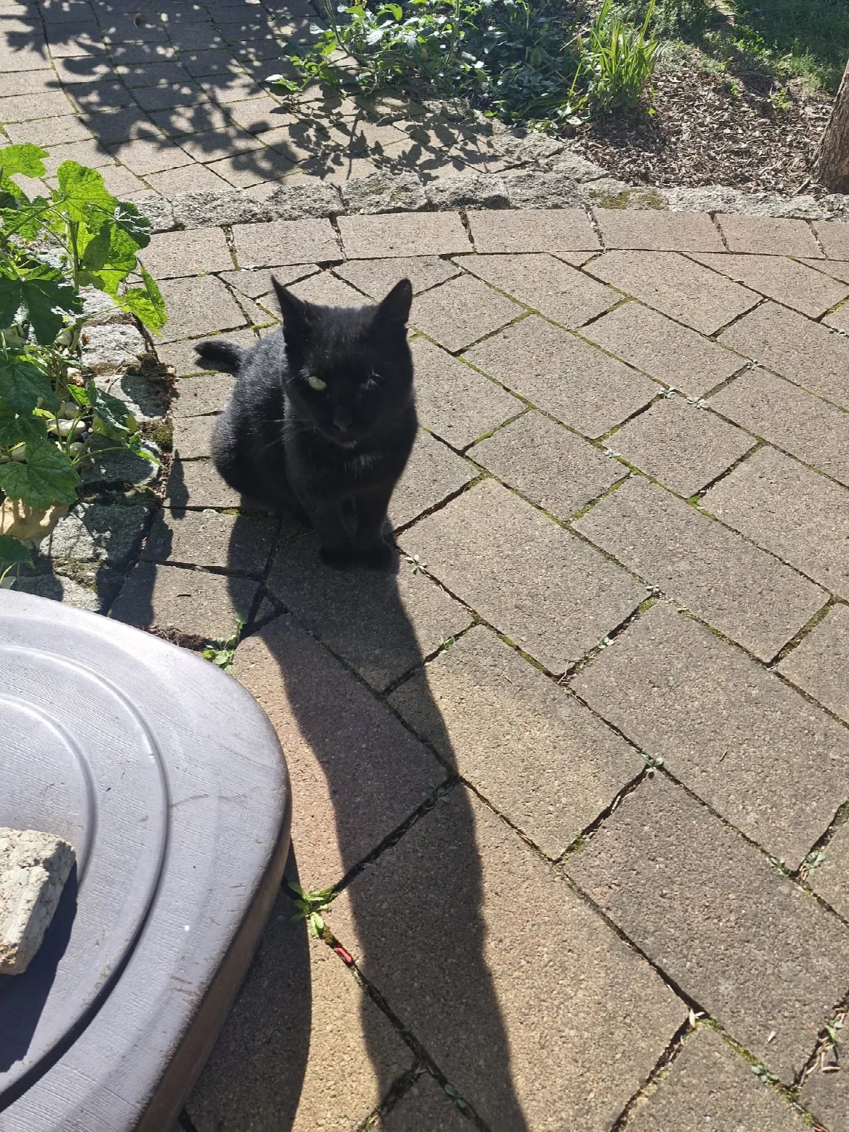 Karli, Foto 3